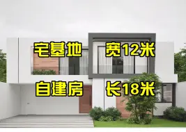 Download Video: 现代别墅|自建房|二层|面宽12米 进深18米