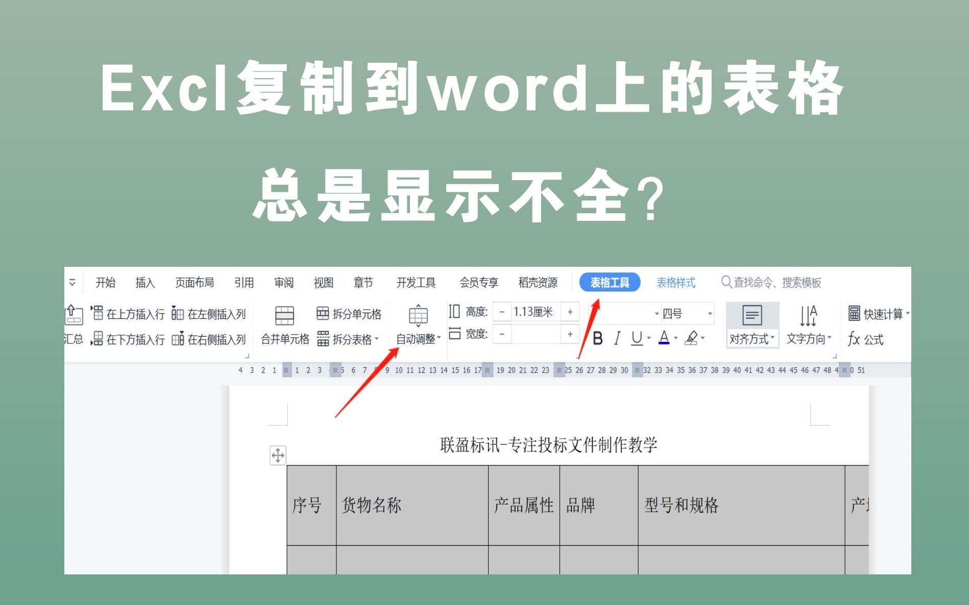 Excl上复制到word上的表格总是显示不全?零基础标书制作教学系列!哔哩哔哩bilibili