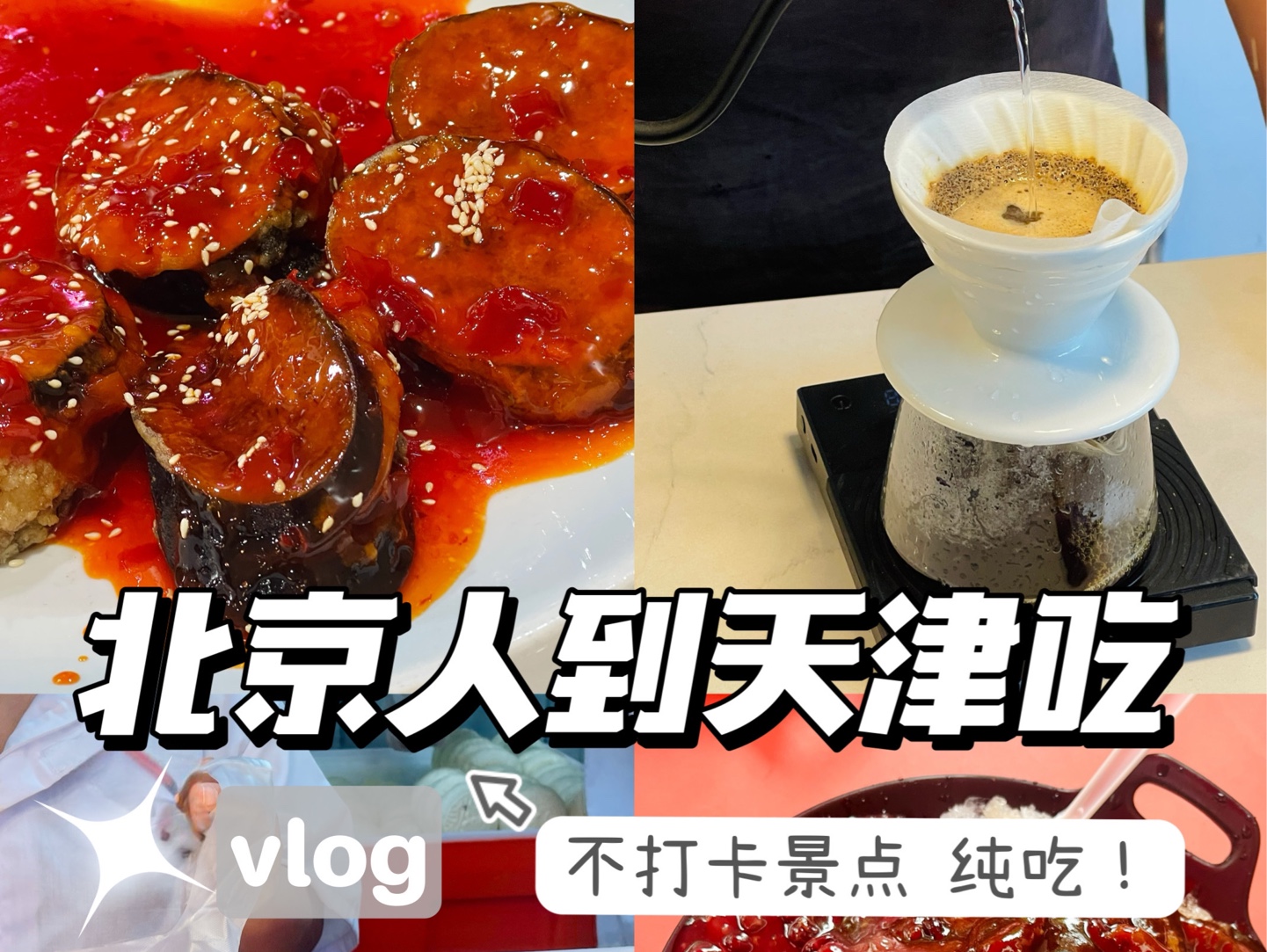 VLOG|北京人到天津,不打卡景点,纯粹吃喝!哔哩哔哩bilibili