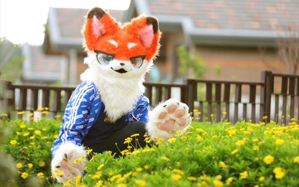 兽装fursuit关于我的兽装