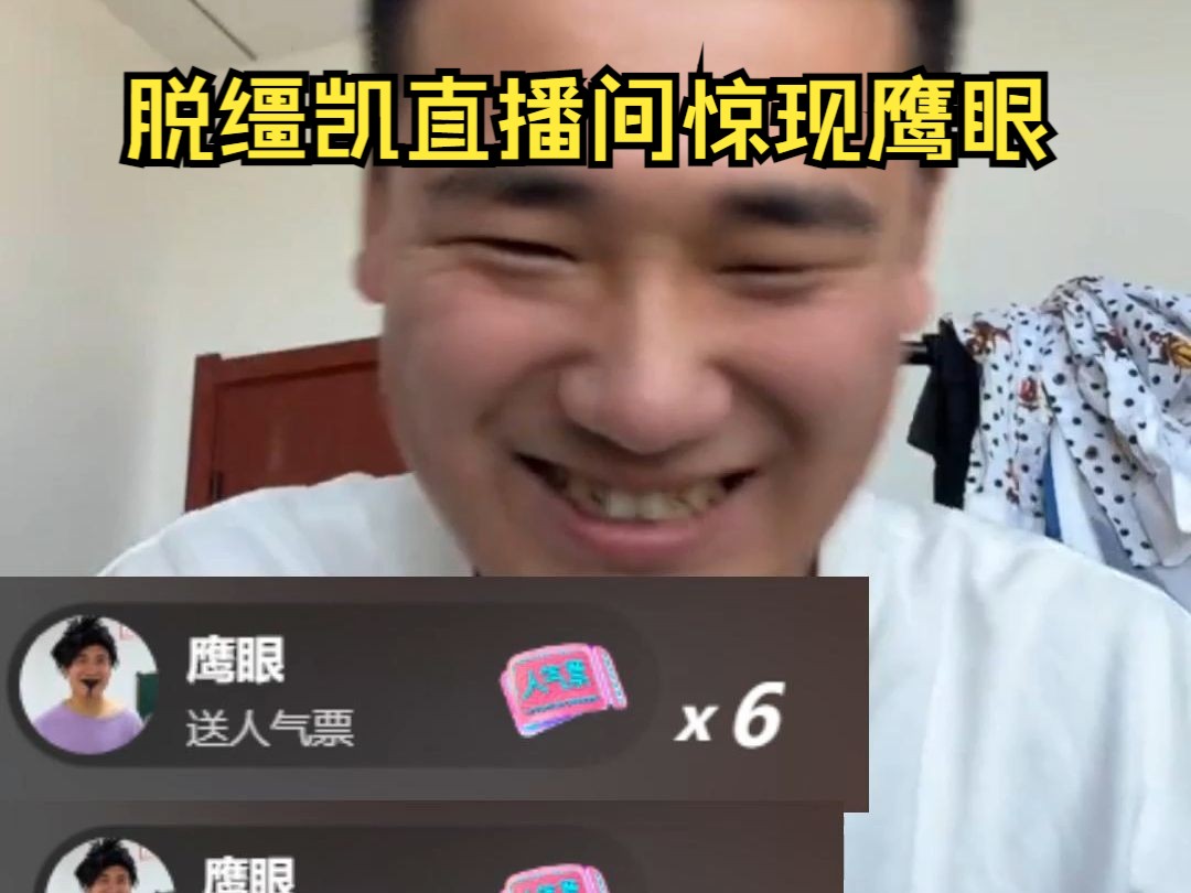 鹰眼出来单干了,给凯哥逗乐了哔哩哔哩bilibili