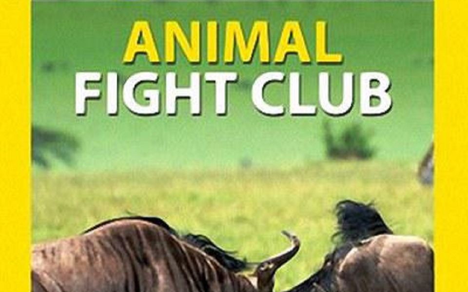 [图]【英音中字/国家地理】动物搏击俱乐部-第一集——海滩竞霸（Animal Fight Club/2013）