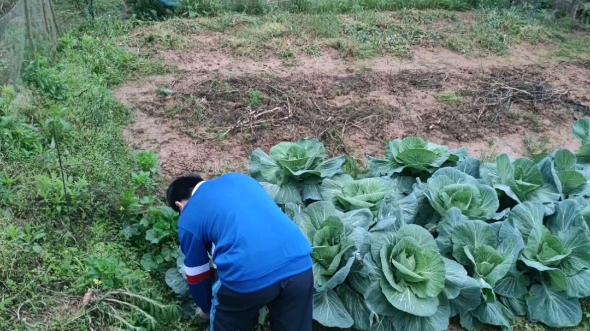 天真岁月不忍欺,青春荒唐我不负你~哔哩哔哩bilibili