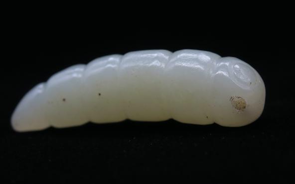 古代玉蚕蛹的造型图片