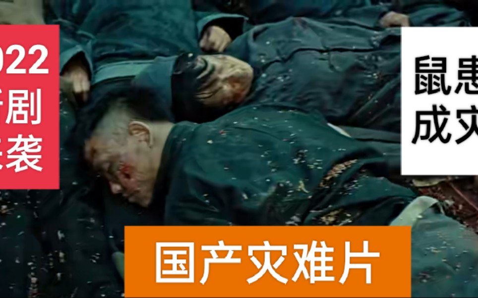 老鼠成灾无所不吃密集恐惧症慎点