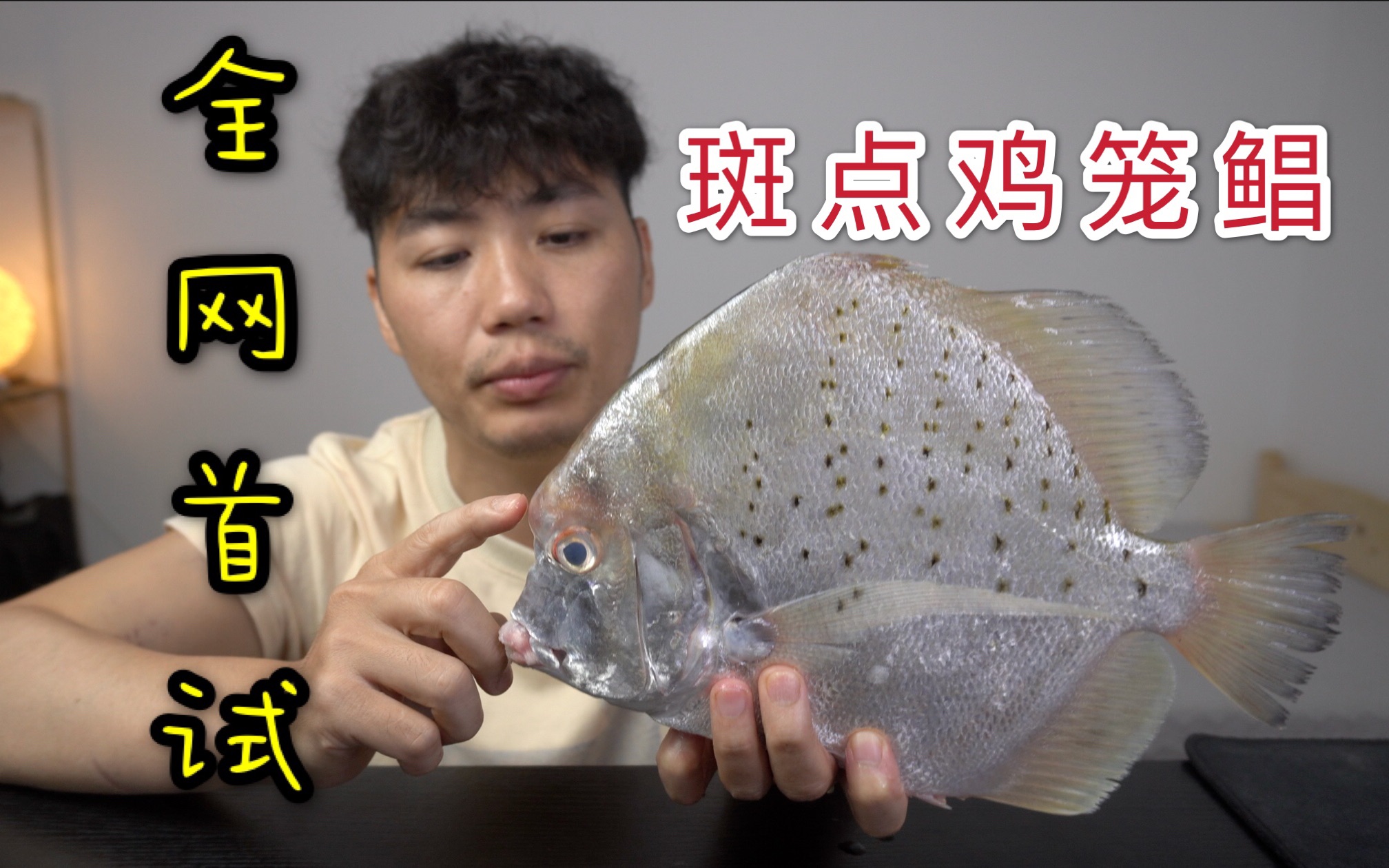 全网首吃,斑点鸡笼鲳长得很奇特,但是脂肪感爆满