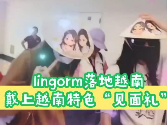 [lingorm]落地越南lingorm“见面礼”好有越南特色啊哔哩哔哩bilibili