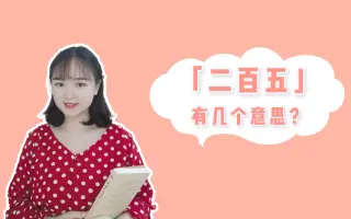 二百五到底是什么意思 搜索结果 哔哩哔哩 Bilibili