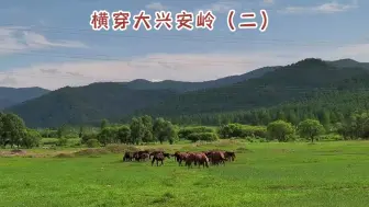 Télécharger la video: 横穿大兴安岭，靠近柴河看到一路最美的风景，第一次看到马群头领