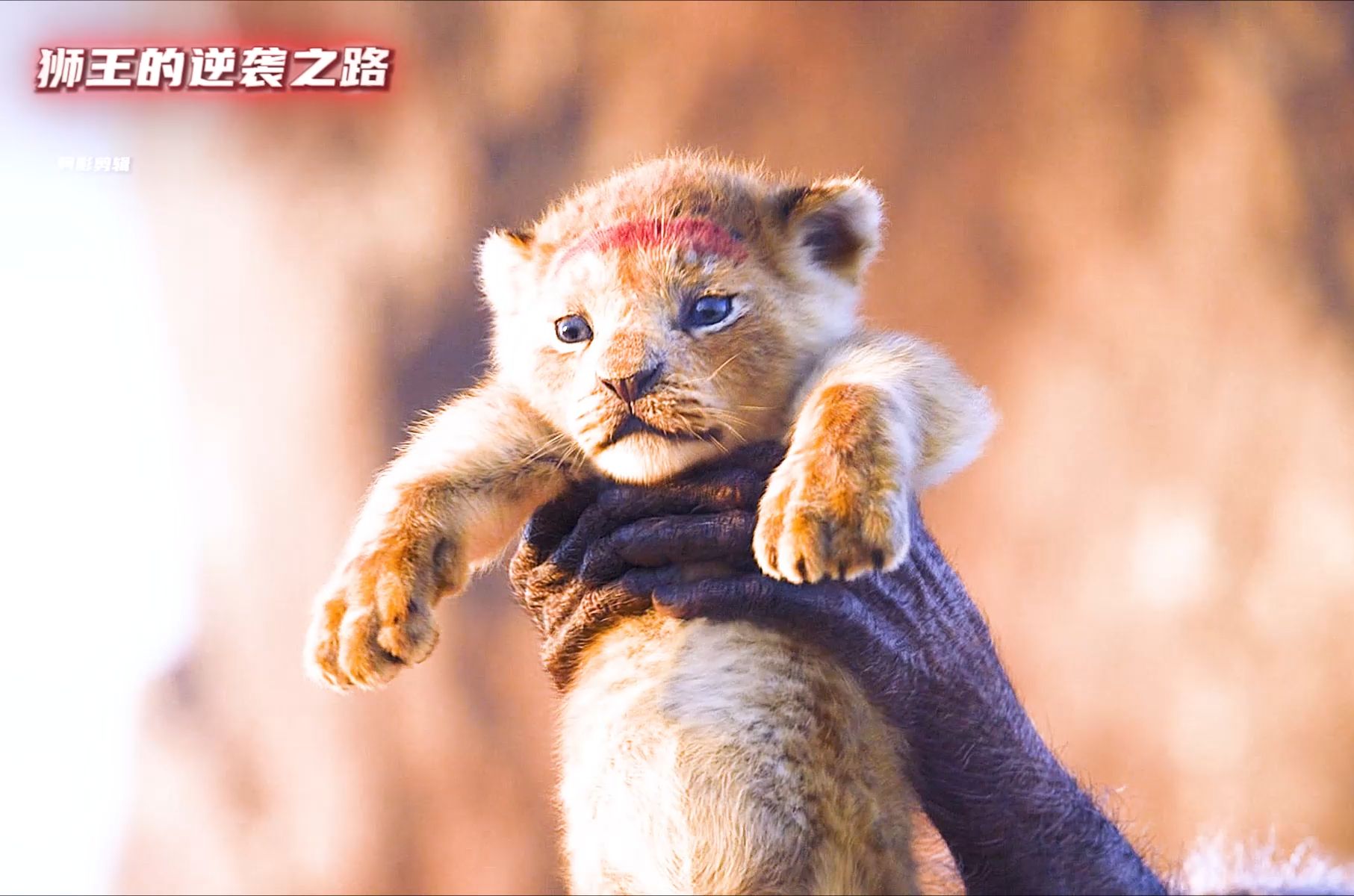 狮王的逆袭之路