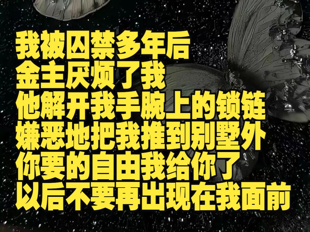 被囚禁多年后,金主厌烦了我. 他解开我手腕上的锁链,嫌恶地把我推到别墅外: 「你要的自由我给你了,以后不要再出现在我面前.」哔哩哔哩bilibili