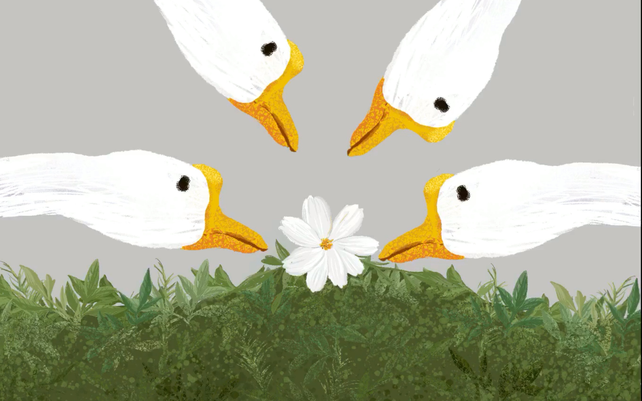 ipad pro procreate 鹅鹅鹅插画绘制过程_哔哩哔哩 (゜-゜)つロ 干杯