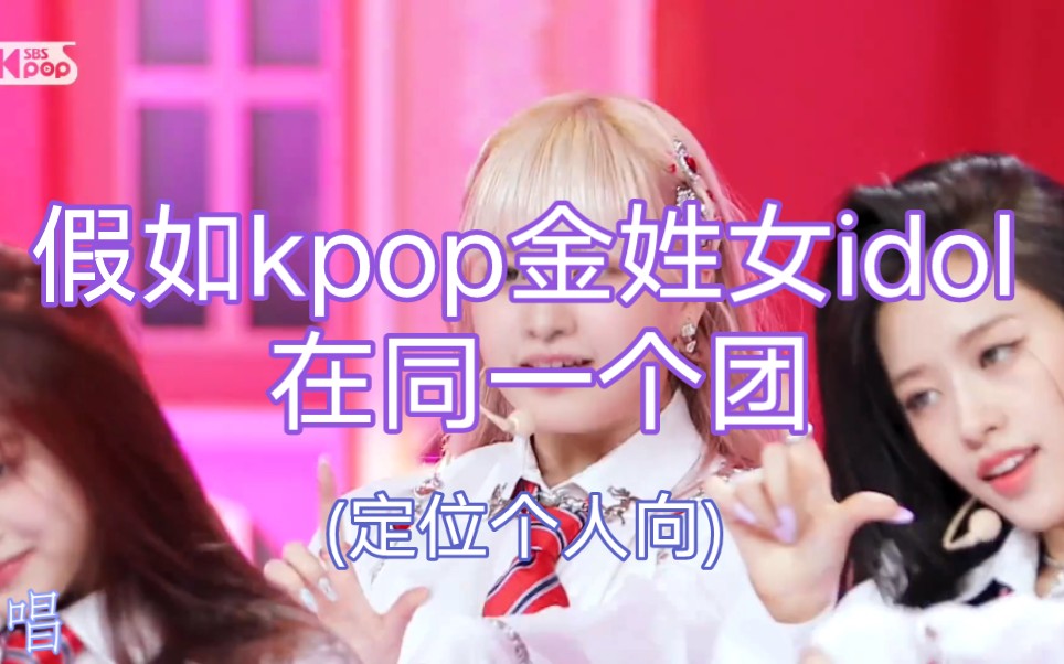 假如kpop金姓女idol在同一个团(定位个人向)哔哩哔哩bilibili