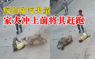 Télécharger la video: 疯狗扑咬幼童家养犬飞奔相护，犬主：养了7年很有灵性