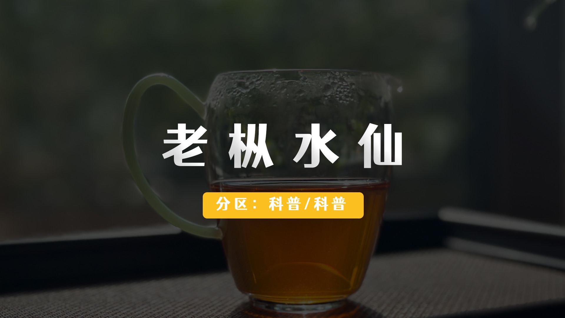 老枞水仙好在哪?应该如何冲泡.哔哩哔哩bilibili