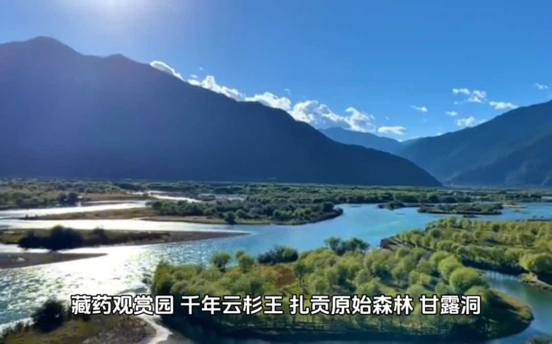 西藏药山一一林芝南伊沟