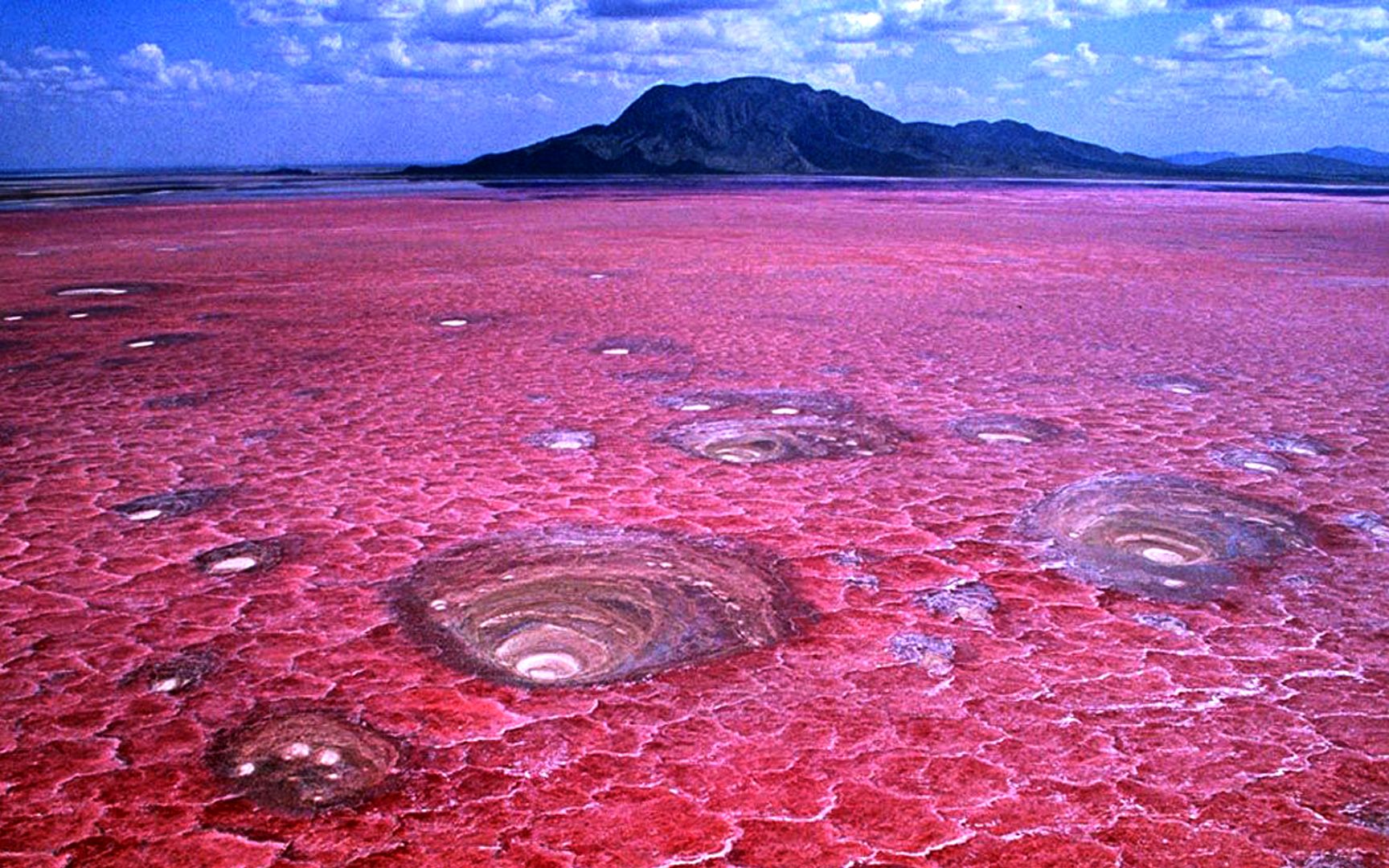 [图]现实世界的地上冥河，动物们被钙化成了雕像，湖水呈现诡异血红色