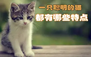 下载视频: 若猫有这6个特征，说明它的智商很高，不要低估它