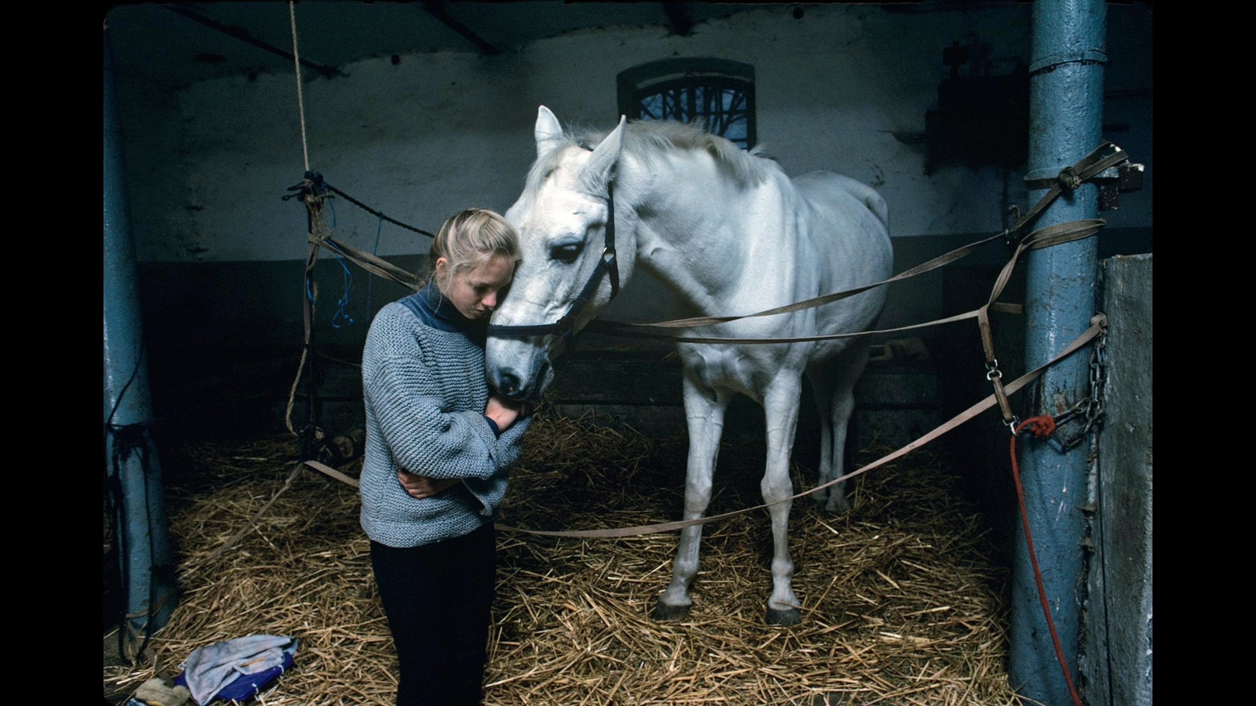 直击心灵的力量,全网最全史蒂夫ⷩ𚦥‡六ž(Steve McCurry )摄影集哔哩哔哩bilibili