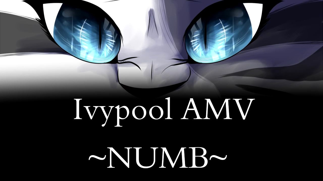 猫武士藤池amvnumb