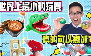 Download Video: 世界上最小的玩具扭蛋，小鳄鱼咬人还挺疼，迷你电动螺丝刀装家具