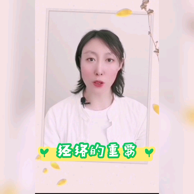 经络常识哔哩哔哩bilibili