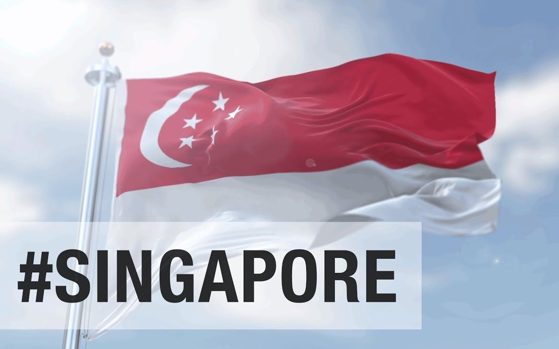 新加坡国旗加名字图片图片