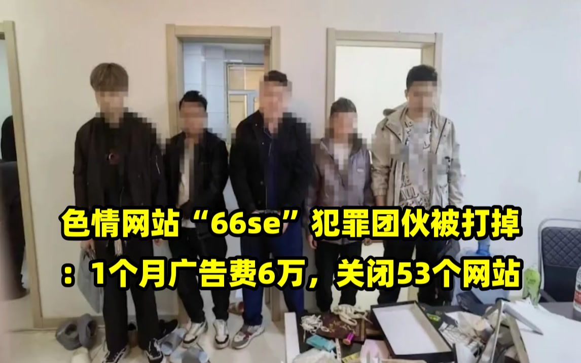 色情网站“66se”犯罪团伙被打掉:1个月广告费6万,关闭53个网站哔哩哔哩bilibili