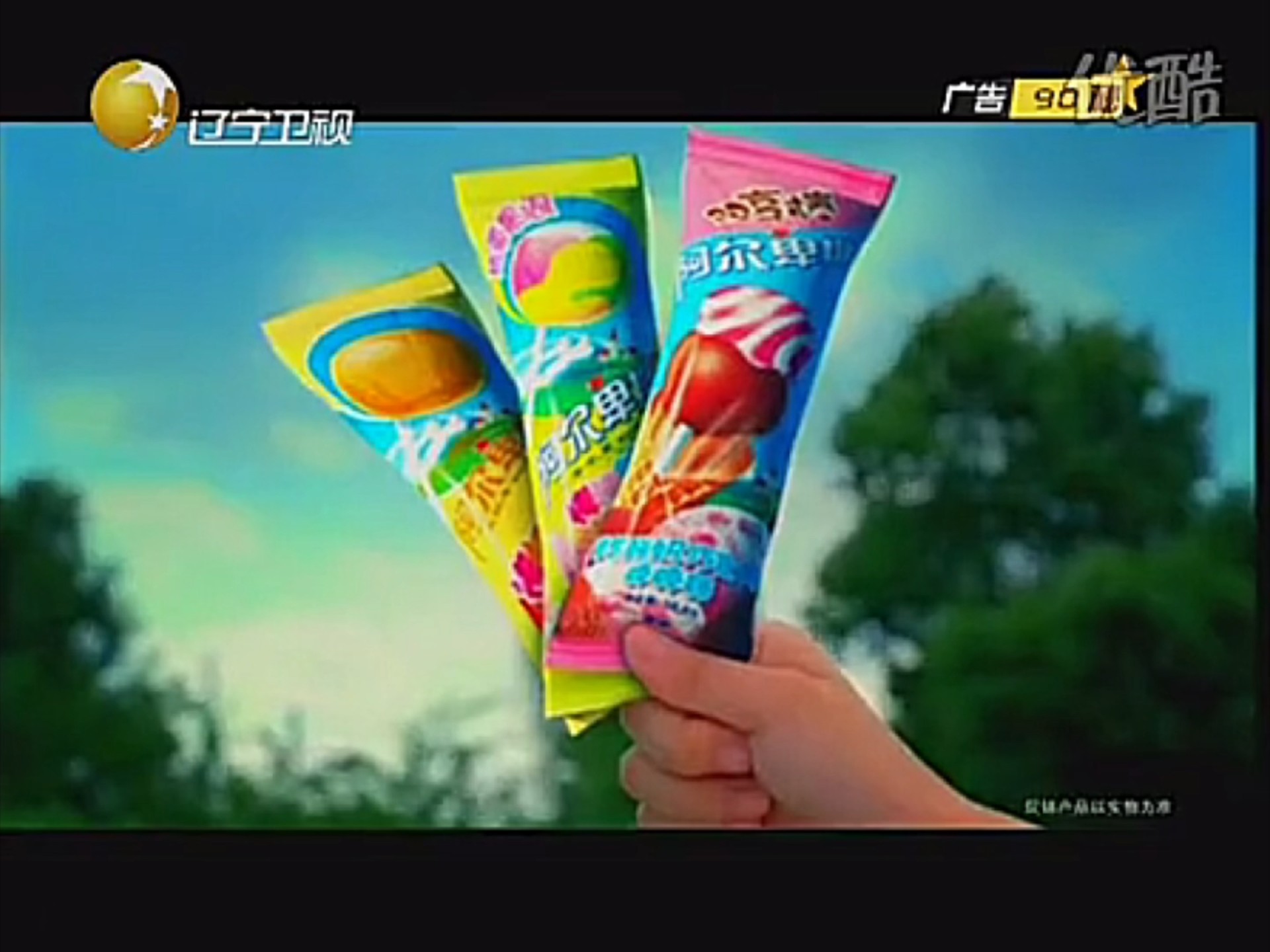 辽宁卫视第一时间节目中场广告 2010.10.28