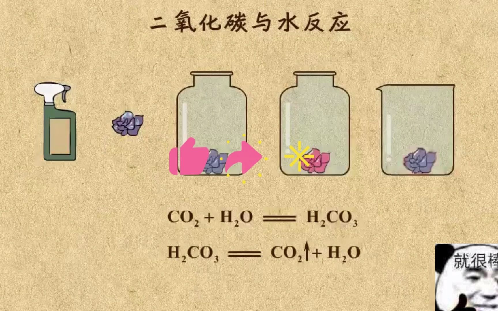 [图]【乐乐课堂初中化学】第六单元-碳和氧化物8. 二氧化碳的化学性质--与水的反应（持续更新）