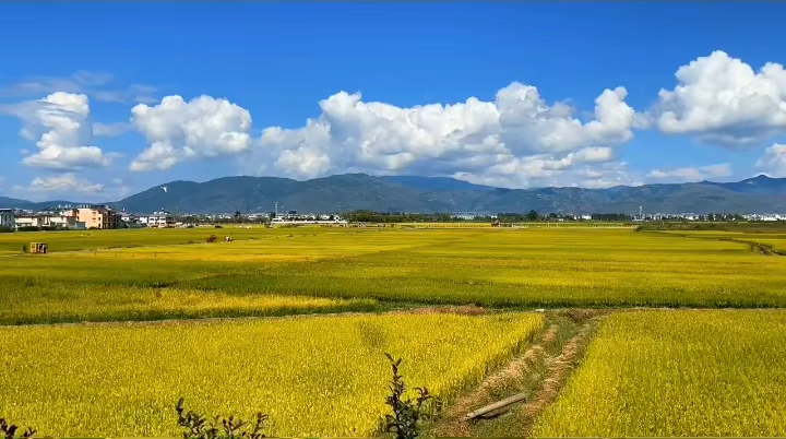 喜欢田间地头的风景,有童年美好的回忆.