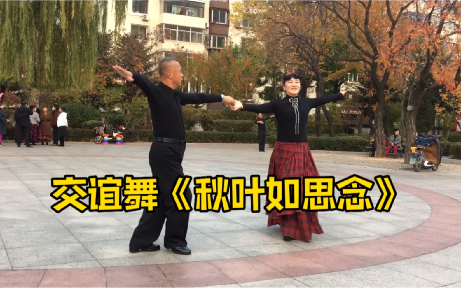 [图]广场交谊舞帕斯《秋叶如思念》