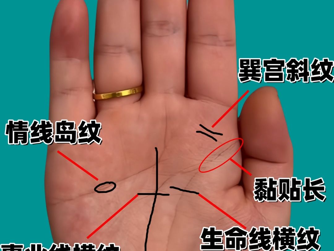 女人手握"冲天纹",一飞冲天非池中物,40岁之后富贵多福!