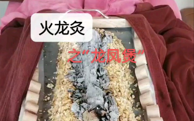 火龙灸之“龙凤煲”哔哩哔哩bilibili