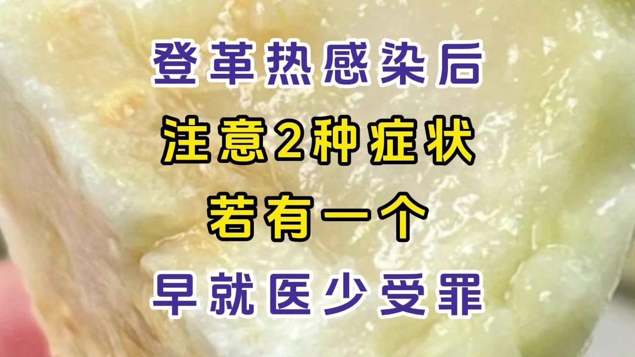 登革热感染后,注意2种症状,若有一个,早就医少受罪哔哩哔哩bilibili