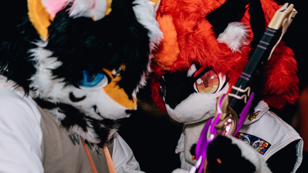 【直播回放】雨中冒险2萌新试玩 2024年2月19日17点场