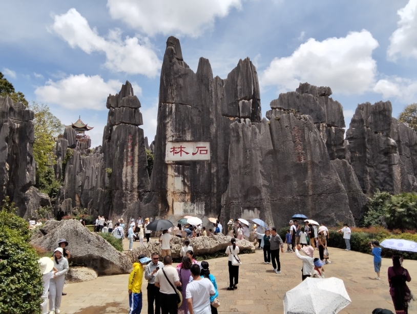 黄山石林风景区图片图片