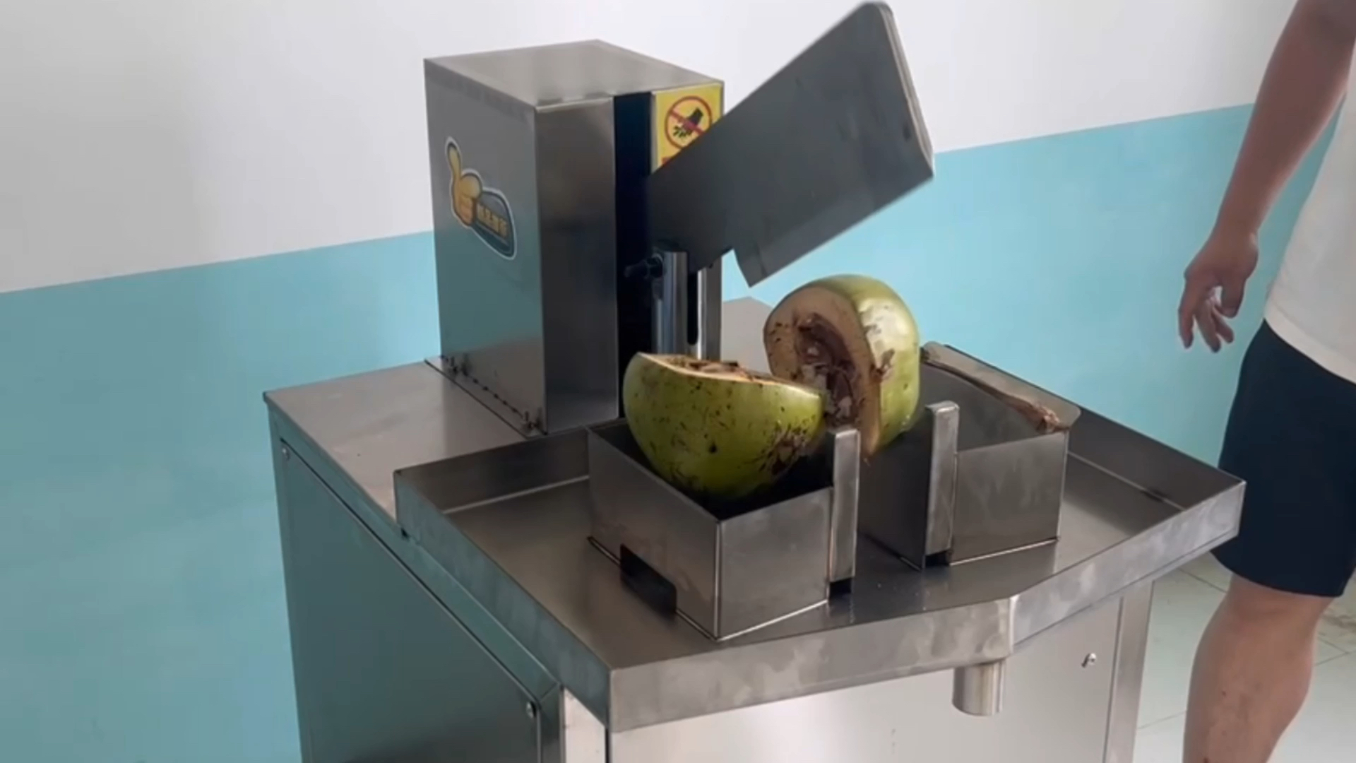 椰子 #开椰子 #椰子切半机 椰子水去哪了?