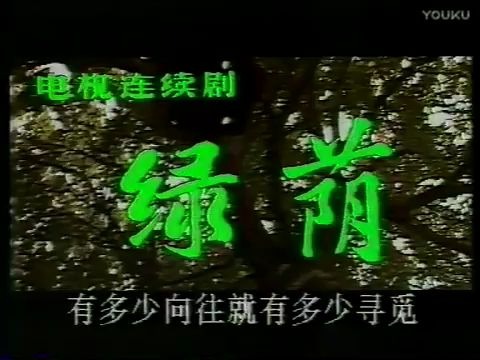 怀旧电视金曲1989绿荫主题曲在这片绿荫里ⷥ𑠦𔪥ˆš哔哩哔哩bilibili