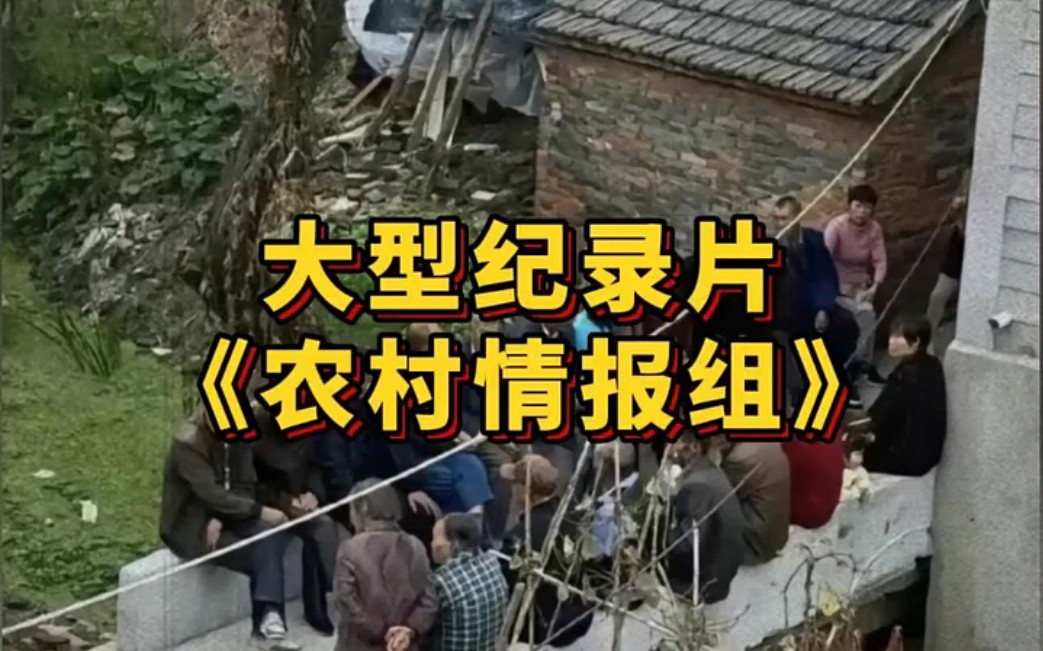 农村情报队,堪比锦衣卫,大型纪录片《农村情报组》