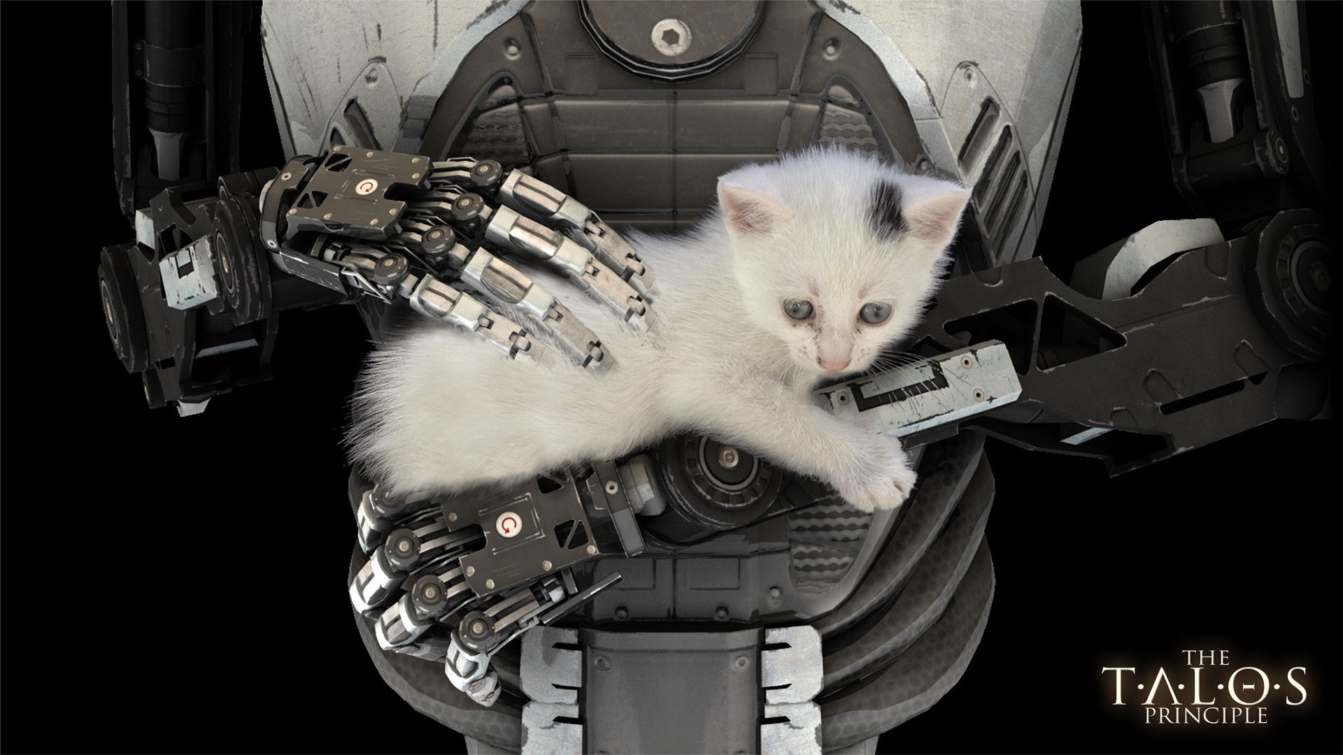 【塔罗斯的法则】【The Talos Principle】全流程+全收集攻略哔哩哔哩bilibili