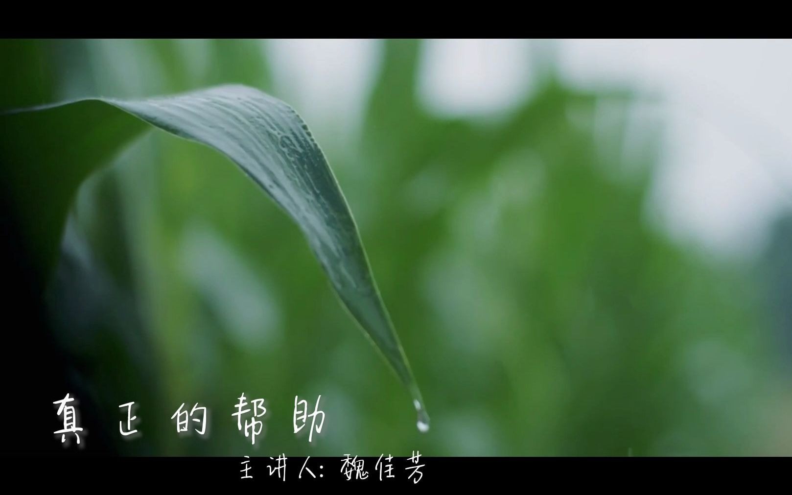 心灵滋养:真正的帮助.(超治愈白噪音背景)哔哩哔哩bilibili