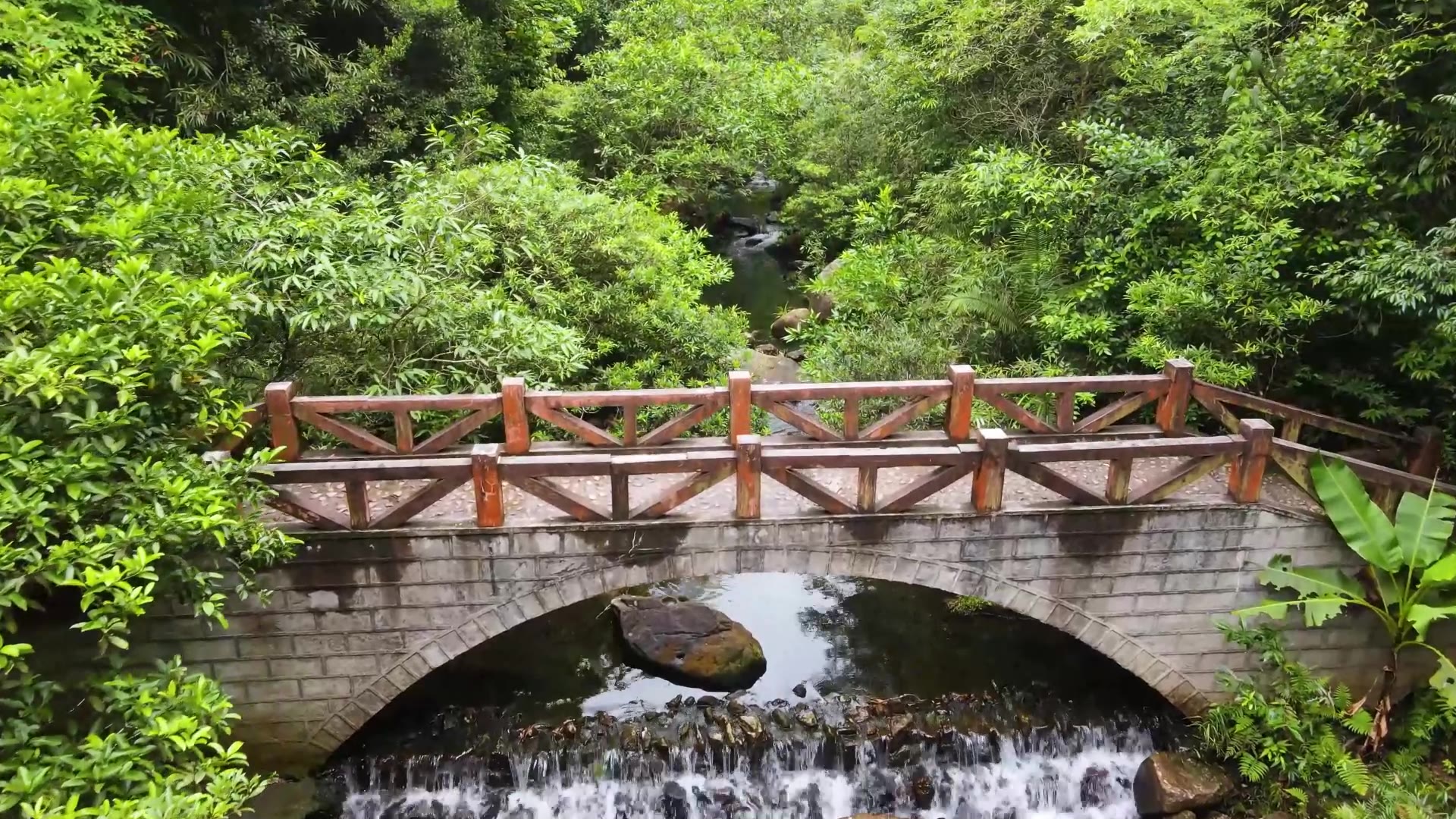 [图]故乡的原风景背景视频