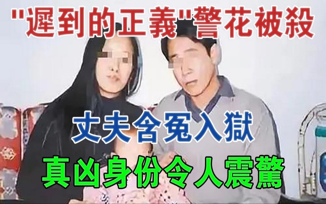 「迟到的正义」警花被杀,丈夫含冤入狱,真凶身份令人震惊#大案纪实#刑事案件#案件解说哔哩哔哩bilibili