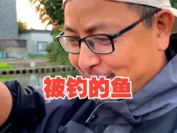 Download Video: 《被钓的鱼》