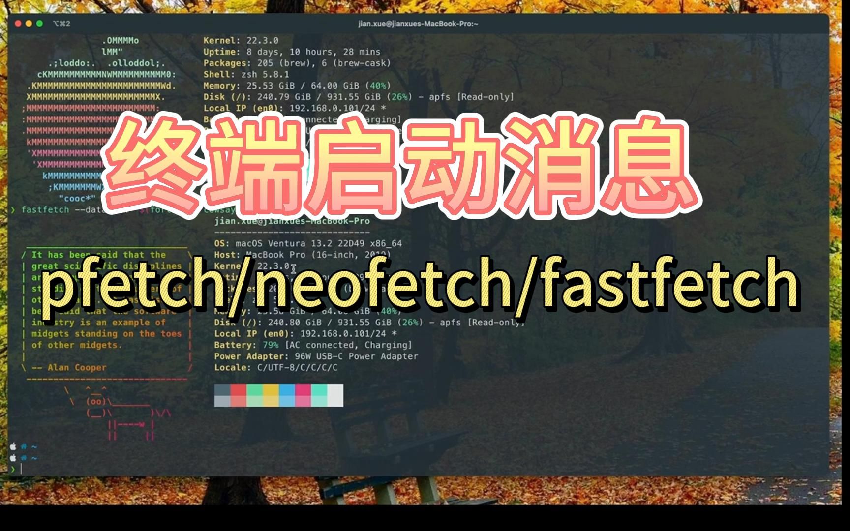 终端启动消息 pfetch/neofetch/fastfetch  打造我的终端环境哔哩哔哩bilibili