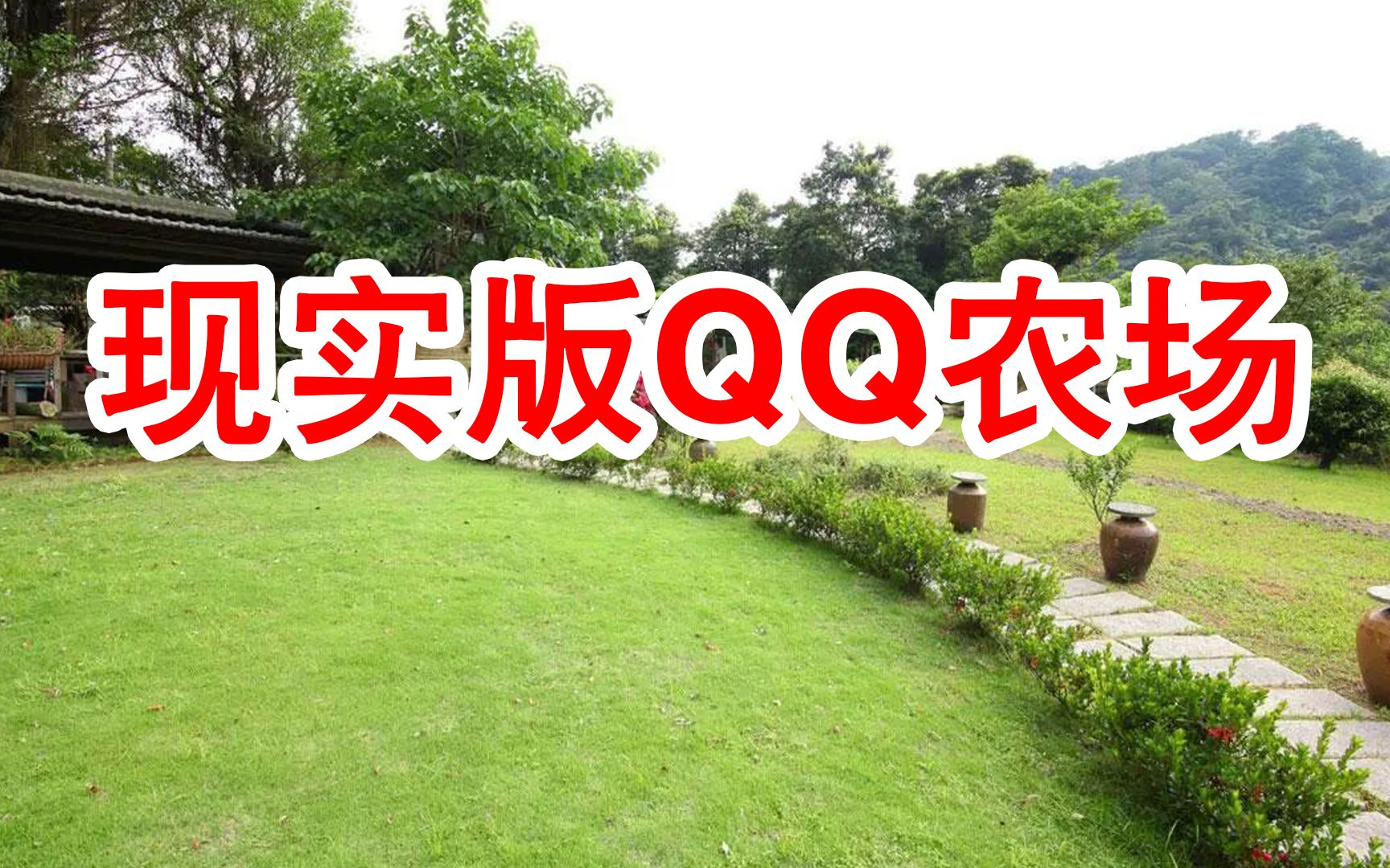 现实版qq农场