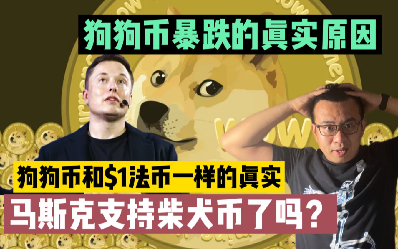 狗狗币暴跌的真实原因,盘中我继续两次加仓了,马斯克并没有拥抱柴犬币