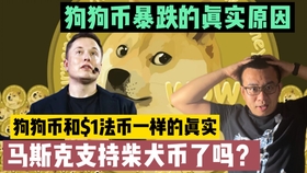 狗狗币如果48小时内到达 1 5月8日会不会到 5 比特币以太币被标普道琼指数收纳 狗狗币也快了 哔哩哔哩