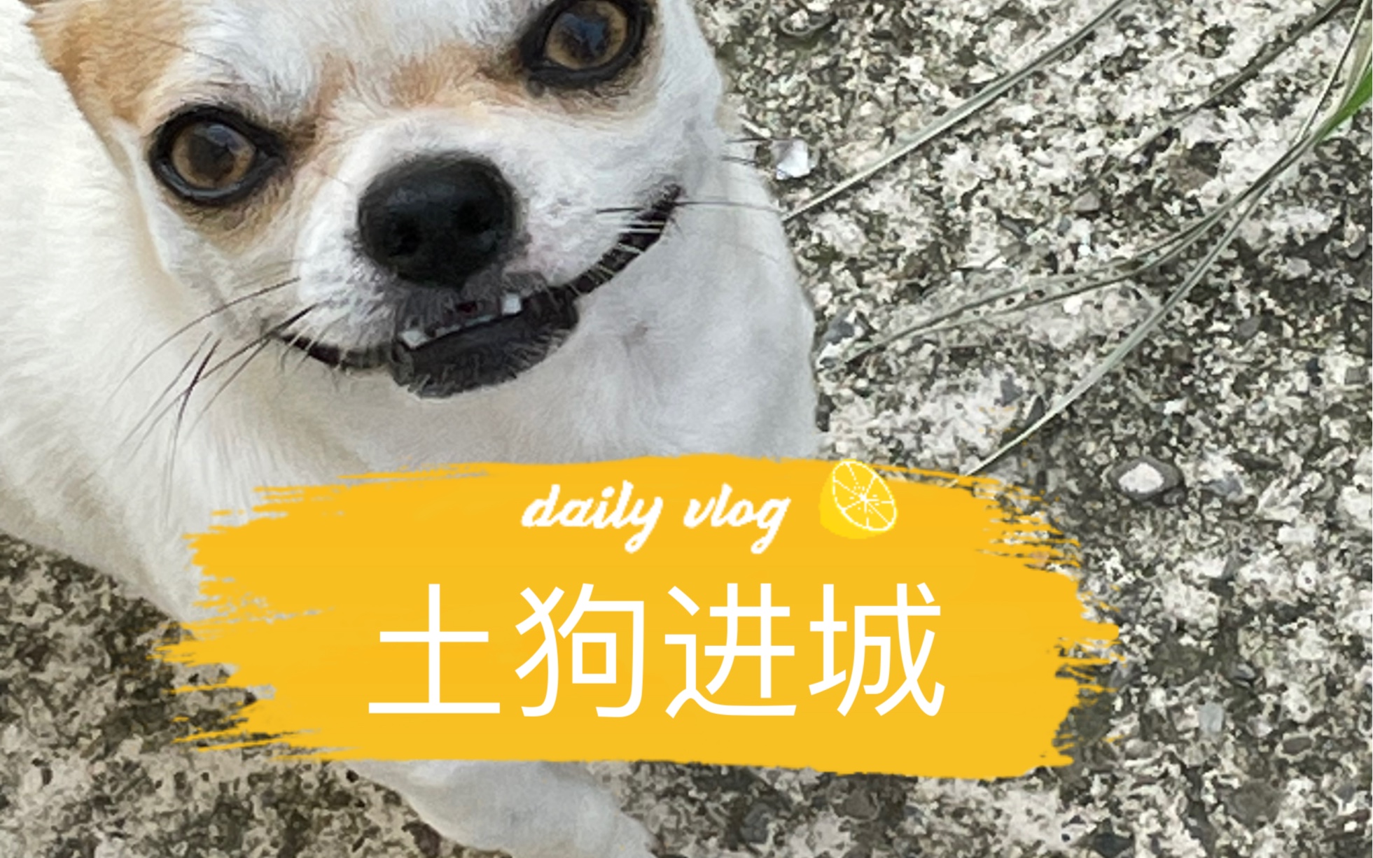 进城拿通知书啦!